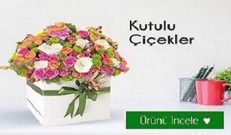 �ay�rova �i�ek�i